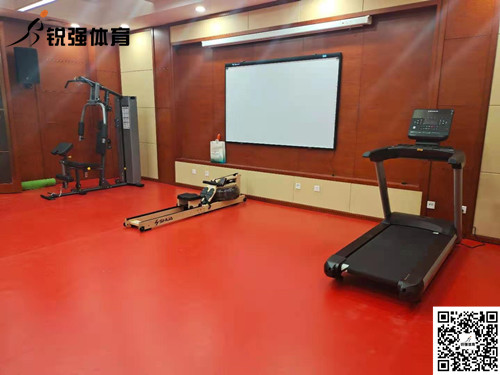 泰安某別墅區私家健身房