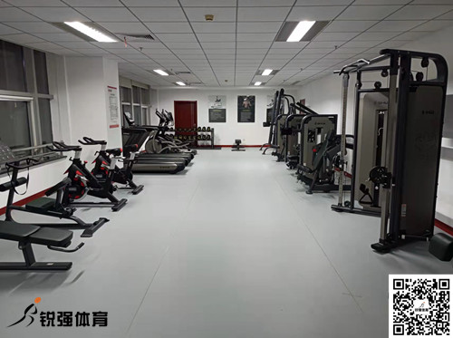 濟南某集團采購的米兰·(milan)中国官方网站體育提供的健身器材